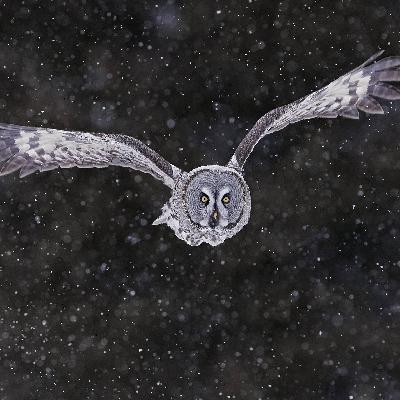 Philosophischer Winterkommentar - Grausig grau