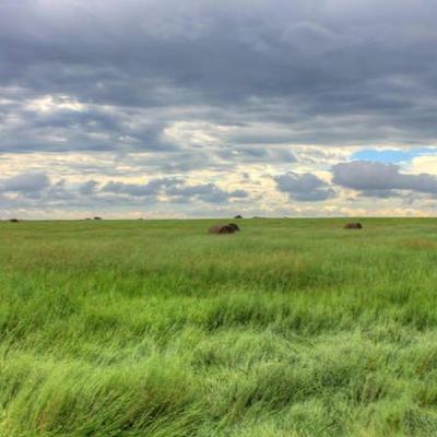 The Dispatch, Ep 9: Silicon Prairie The Dispatch, Ep 9: Silicon Prairie