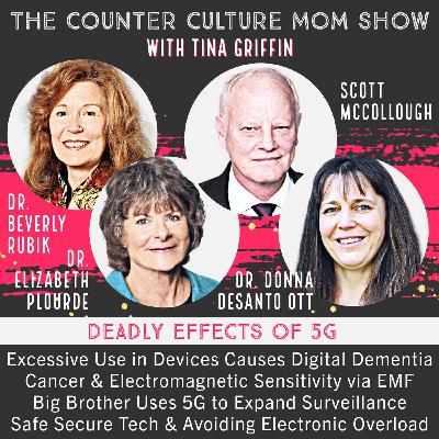 Safe Secure Tech and Simple Solutions to Avoid Electronic Overload - Dr. Donna DeSanto Ott