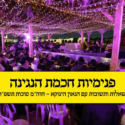 פנימיות חכמת הנגינה | שאלות ותשובות עם הגאון הינוקא - חוה”מ סוכות תשפ”ו