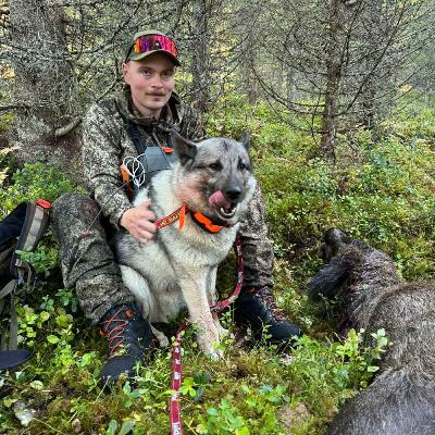 Skyting, hunder, guiding og rovvilt med Jim Are Skjerve Dullum
