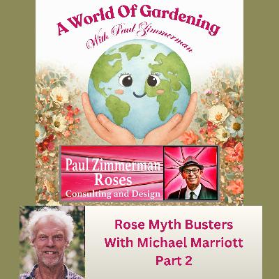 Rose Myth Busting With Special Guest Michael Marriott - Part 2 Rose Myth Busting With Special Guest Michael Marriott - Part 2