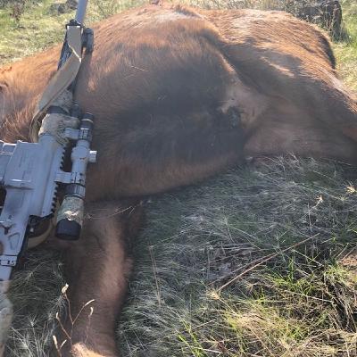 Max Point Blank Range - Recast Max Point Blank Range - Recast