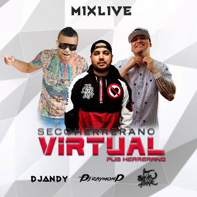 Dj Selecta Rookie ft Dj Andy - Mix Virtual Pub Herrerano 2020