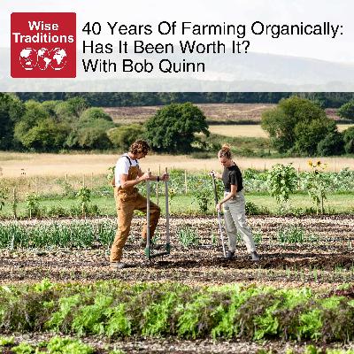 542: 40 Years of Farming Organically: Has it Been Worth It? With Bob Quinn