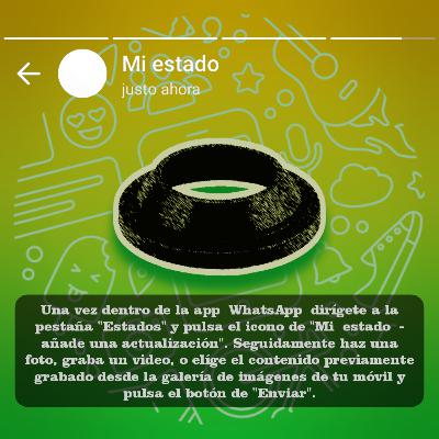EP6 Estados de WhatsApp pt.2