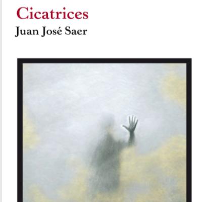 Cicatrices.