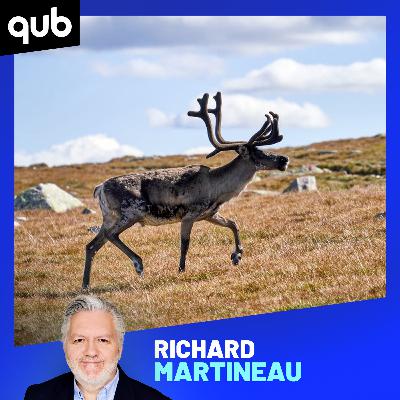 Polémique après une photo impressionnante de 300 caribous abattus au nord de Schefferville