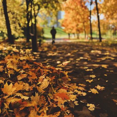 Осень и цикличность