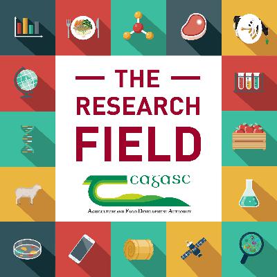 Seven: 'Speed Breeding' for Faster Crop Disease Control
