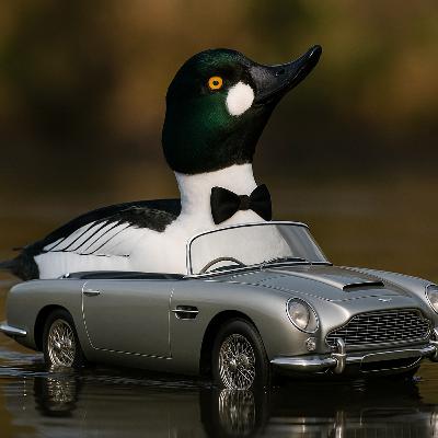 Episode 18: Goldeneye 30th Anniversary Screening