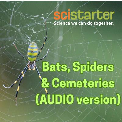 Bats, Spiders & Cemeteries (AUDIO version) Bats, Spiders & Cemeteries (AUDIO version)
