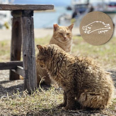 混沌武士盘起一条Mixtape舞春风