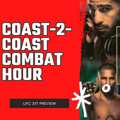 UFC 317 Preview
