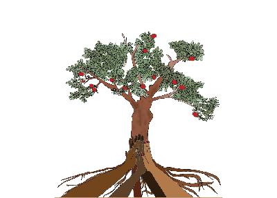 Building Power with Black Farmer Fund