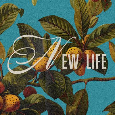 Self-Discipline: How New Life Spreads
