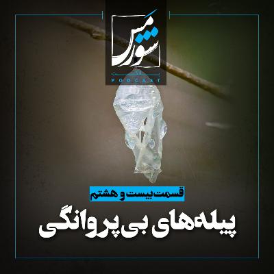 پیله های بی پروانگی