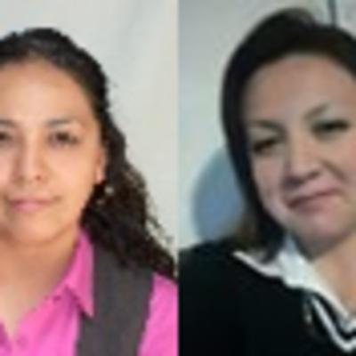 ANTECEDENTES DE LOS ACTUALES PROCESOS DE EVALUACIÓN Y ACREDITACIÓN DE LAS UNIVERSIDADES MEXICANAS