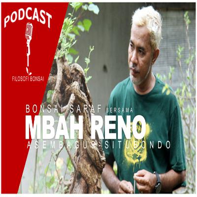Bonsai Saraf