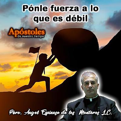 Ponle fuerza a lo que es débil - Padre Angel Espinosa de los Monteros L.C.