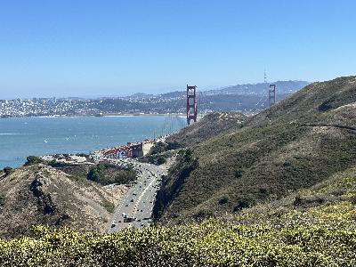 🌻 statement of purpose