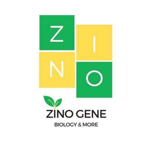 کانال Zinogene