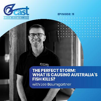 The Perfect Storm - What is causing Australia's fish kills? The Perfect Storm - What is causing Australia's fish kills?
