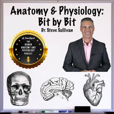 Adaptive Immunity (3rd Line of Defense) - Episode 58