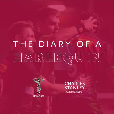 The Diary of a Harlequin - Teaser