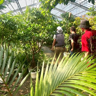 #55 造園合宿の旅 ~tokyoからokinawaまで~ #55 造園合宿の旅 ~tokyoからokinawaまで~