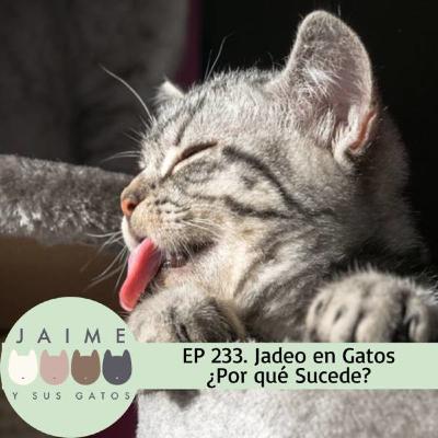 Ep 233 Jadeos en Gatos