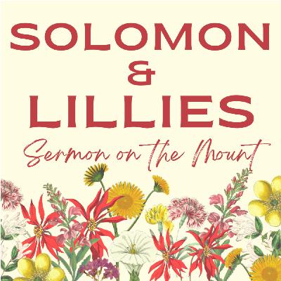 Solomon, Lilies and a worry-less Kingdom