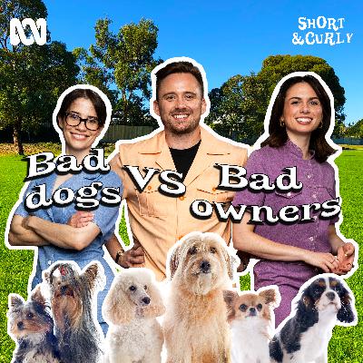 Bad dog or bad owner? Who’s really to blame?
