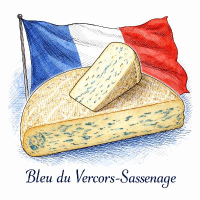 Bleu du Vercors-Sassenage AOP: Der milde Blauschimmel aus dem Vercors – cremig, nussig, „Waldduft“
