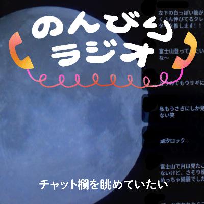 チャット欄を眺めていたい/不定期配信にします