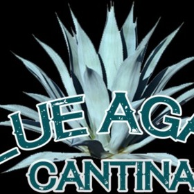 Salsa, Spice, and Fun at Blue Agave Cantina – Blue Agave Houston