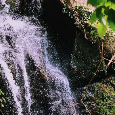 Суфийская притча