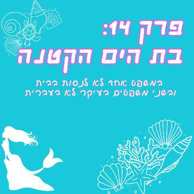 פרק 14: בת הים הקטנה