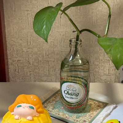 066 到底怎么才算爱自己?也许应该从学习处理人际关系开始 066 到底怎么才算爱自己?也许应该从学习处理人际关系开始