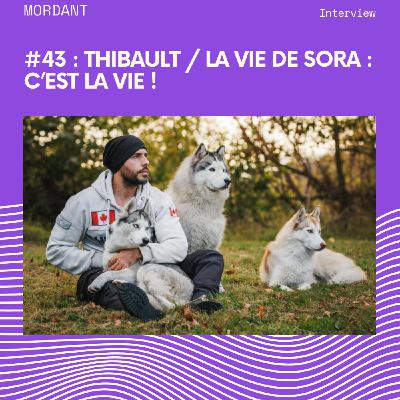 # 43 - Thibault / La vie de Sora : C'est la vie ! # 43 - Thibault / La vie de Sora : C'est la vie !