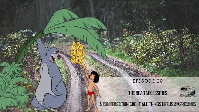 Episode 20: The Bear Necessities - A Conversation About All Things Ursus Americanus