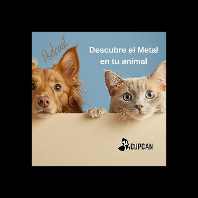 Descubre el Metal en tu animal Descubre el Metal en tu animal