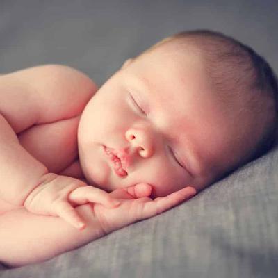 EP32【生態小百科】變色龍、葉尾守宮