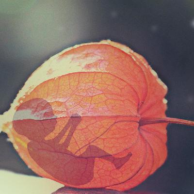 2. Abortti ja lääkärin omatunto 2. Abortti ja lääkärin omatunto