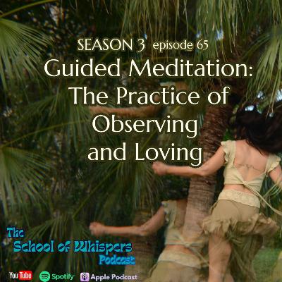 Guided Meditation: The Practice of Observing and Loving #65