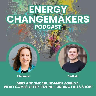DERs and the Abundance Agenda: What Comes After Federal Funding Falls Short