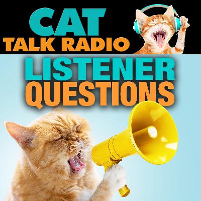 Listener Questions: Curious Cat Questions from Around the World