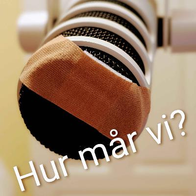 Avsnitt 3 - om magen
