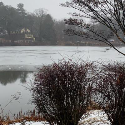 Just life dude Just life dude