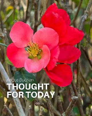 No Fishing No Fishing